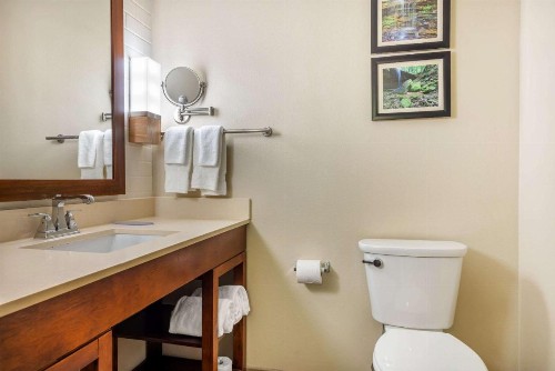 Comfort Inn & Suites At CrossPlex Village - image 18