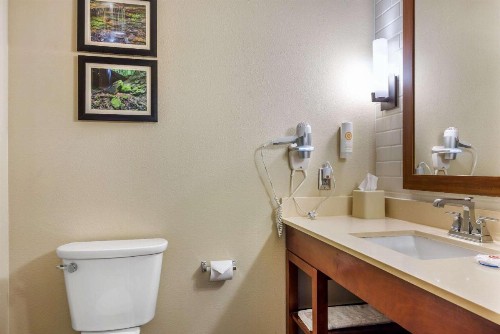 Comfort Inn & Suites At CrossPlex Village - image 19
