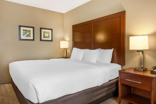 Comfort Inn & Suites At CrossPlex Village - image 26