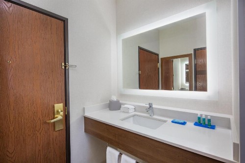 Holiday Inn Express Hotel & Suites Bishop an IHG Hotel - image 17