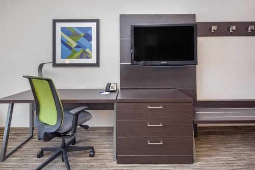 Holiday Inn Express Hotel & Suites Bishop an IHG Hotel - image 18