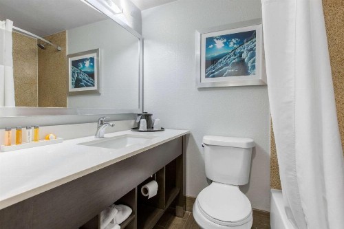 Cielo Hotel Bishop-Mammoth Ascend Hotel Collection - image 18