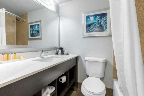 Cielo Hotel Bishop-Mammoth Ascend Hotel Collection - image 23