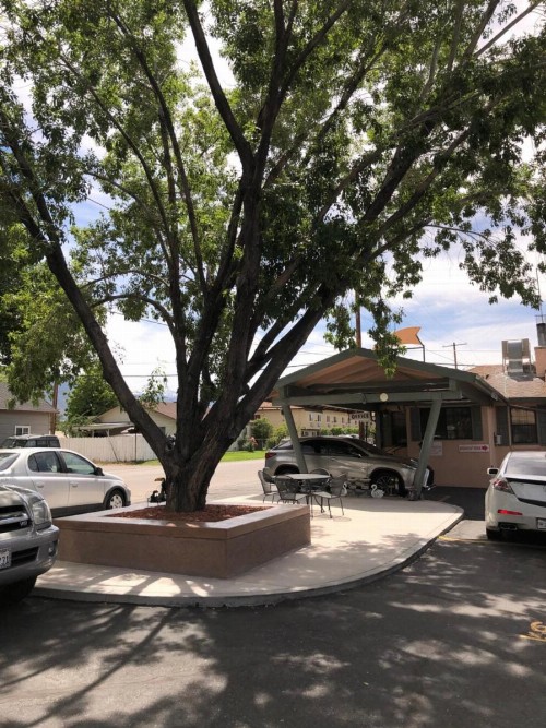 Bishop Elms Motel - image 23