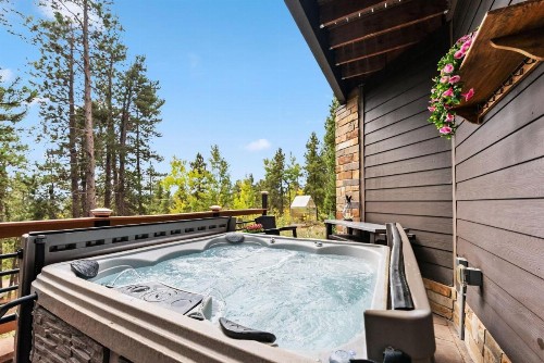 Treehouse 1BR with Hot Tub home - image 5