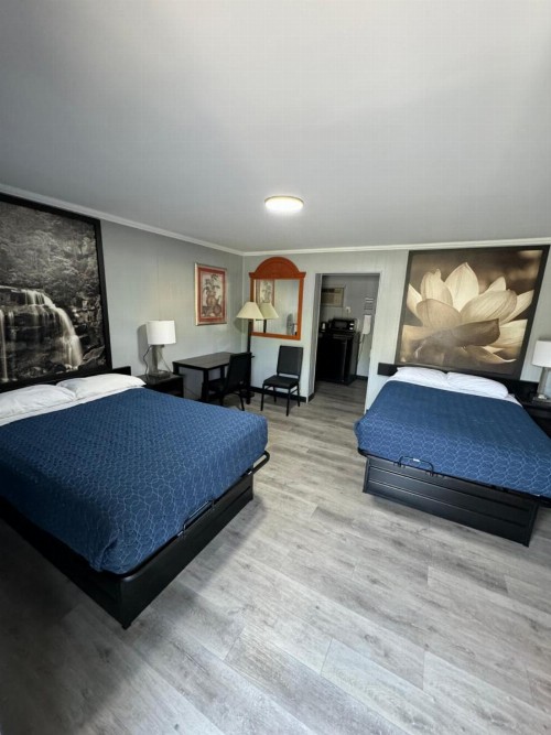 Acorn Motel - Black Mountain - image 13