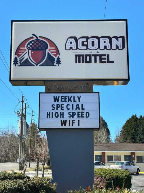 Acorn Motel - Black Mountain - image 3