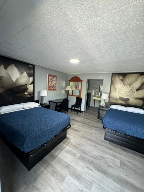 Acorn Motel - Black Mountain - image 5