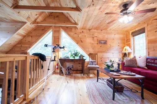 Blue Bear Cabin - image 1