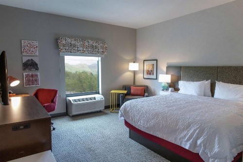 Hampton Inn Black Mountain - image 9
