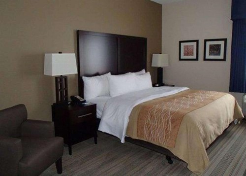 Comfort Inn Blairsville - image 8