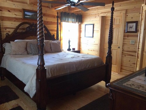 Pine Cabin at Blairsville - image 3
