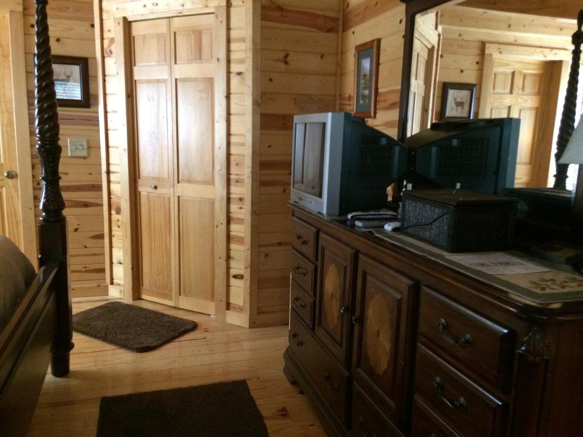 Pine Cabin at Blairsville - image 7