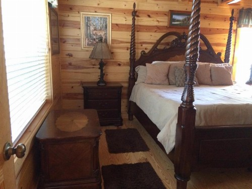 Pine Cabin at Blairsville - image 8