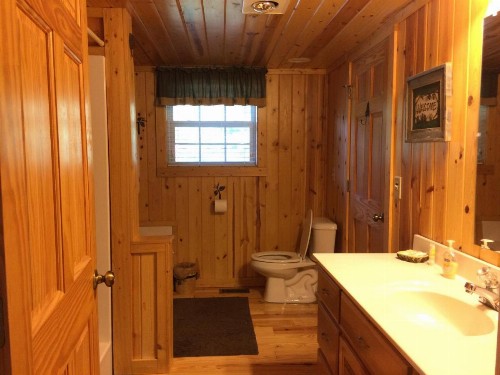 Pine Cabin at Blairsville - image 9