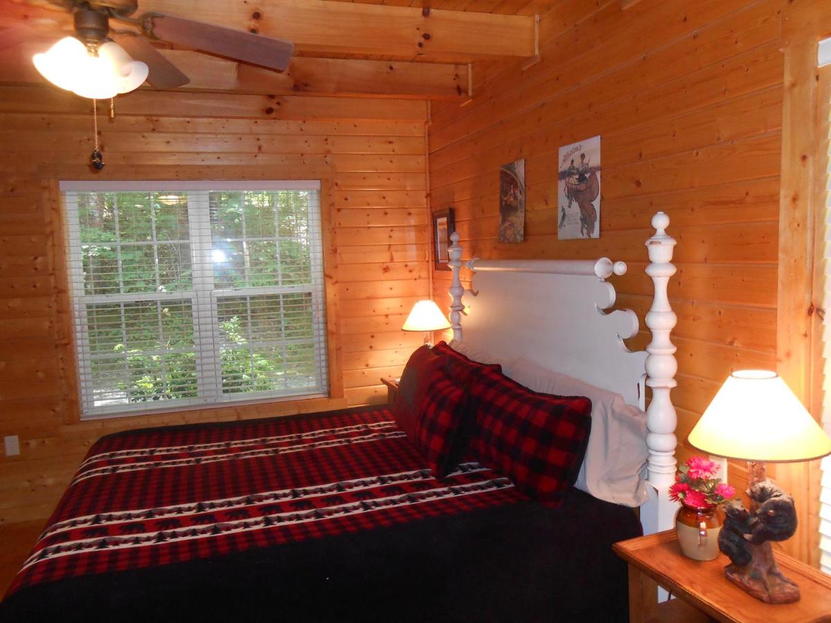 Azalea Cabin With Fireplace & Huge Back Porch - image 7