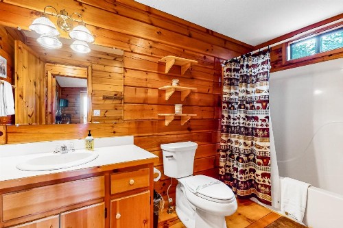 Cozy Bear Den - image 10