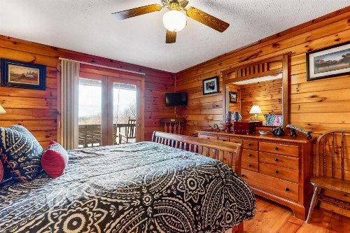 Cozy Bear Den - image 9