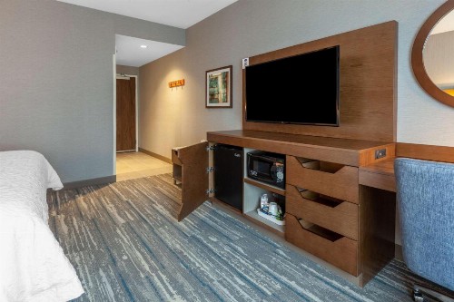 Hampton Inn & Suites Bloomfield Hills Detroit - image 27
