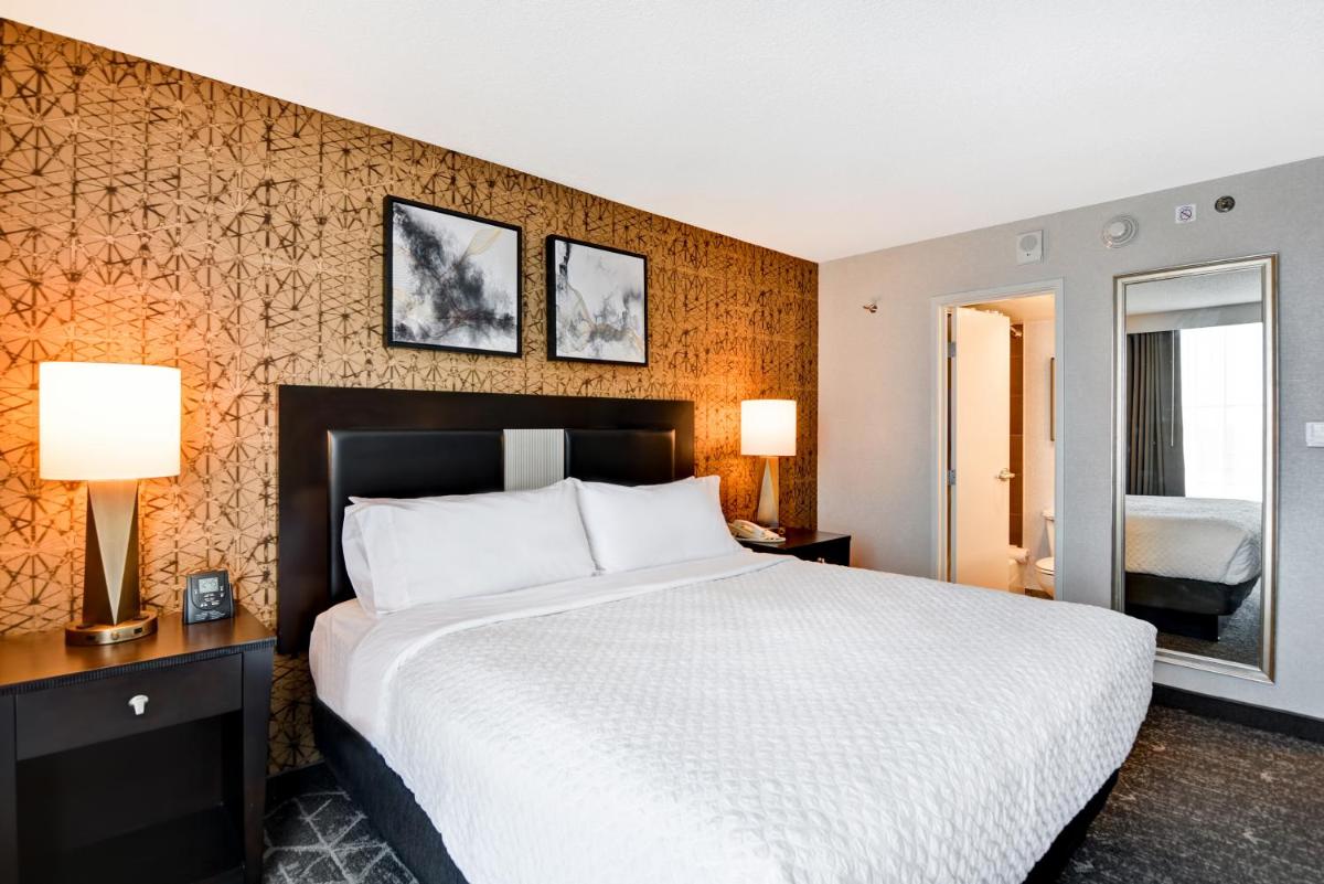 Embassy Suites Minneapolis - Airport - image 2