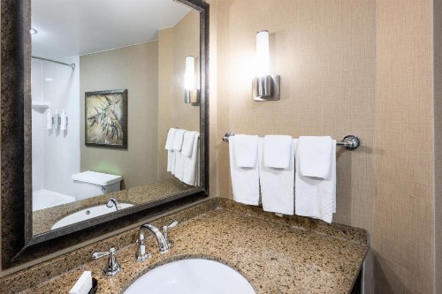 Embassy Suites by Hilton Bloomington/Minneapolis - image 12