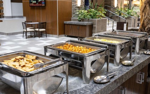 Embassy Suites by Hilton Bloomington/Minneapolis - image 39