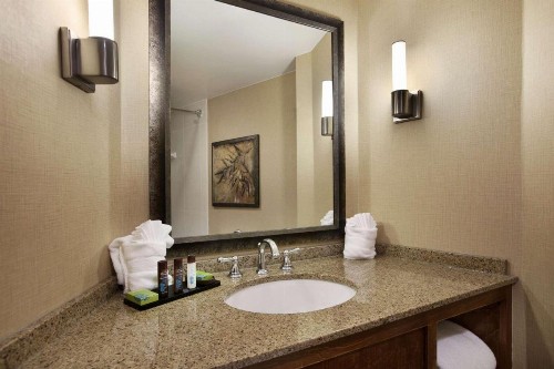 Embassy Suites by Hilton Bloomington/Minneapolis - image 49