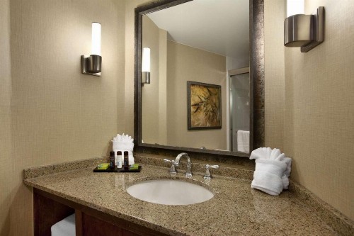Embassy Suites by Hilton Bloomington/Minneapolis - image 50