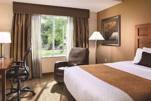 Best Western Plus Bloomington Hotel - image 20