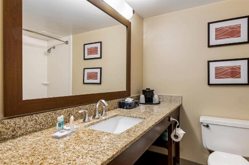 Comfort Inn MSP Airport - Mall of America - image 11