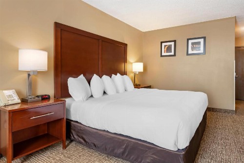 Comfort Inn MSP Airport - Mall of America - image 12