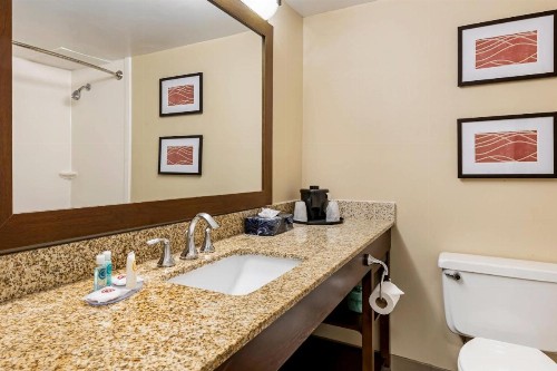 Comfort Inn MSP Airport - Mall of America - image 15