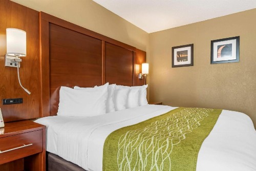Comfort Inn MSP Airport - Mall of America - image 19