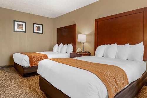 Comfort Inn MSP Airport - Mall of America - image 5
