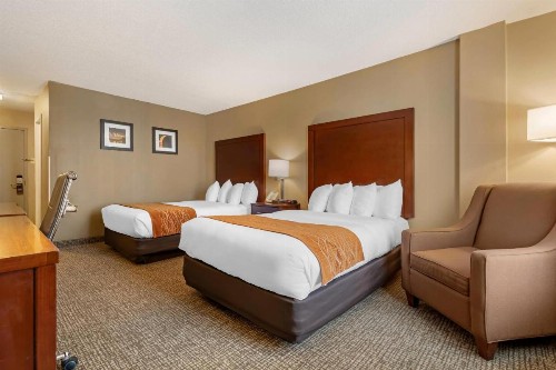 Comfort Inn MSP Airport - Mall of America - image 6