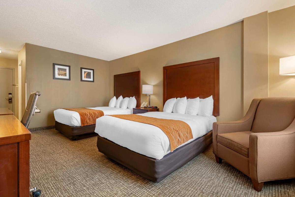 Comfort Inn MSP Airport - Mall of America - image 6