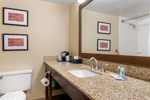 Comfort Inn MSP Airport - Mall of America - image 8