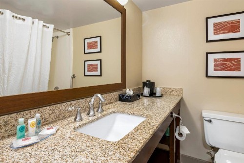 Comfort Inn MSP Airport - Mall of America - image 9