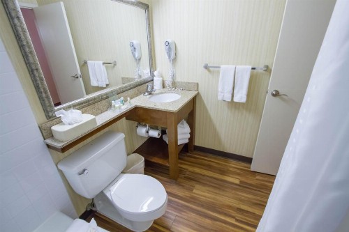 Holiday Inn Bloomington Airport an IHG Hotel - image 22