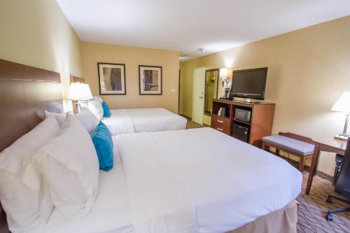 Holiday Inn Bloomington Airport an IHG Hotel - image 32