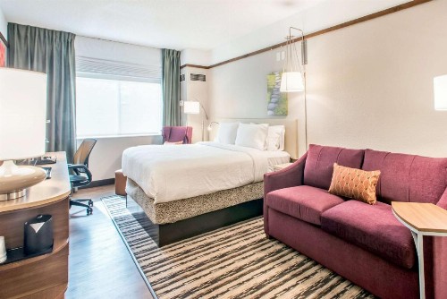 Hilton Garden Inn Minneapolis Airport Mall of America - image 35