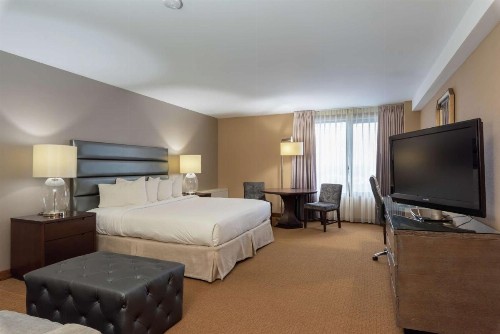 DoubleTree by Hilton Bloomington Minneapolis South - image 9