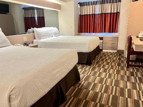 Microtel Inn & Suites by Wyndham Bloomington/Minneapolis - image 6