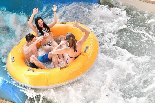 Great Wolf Lodge Bloomington - image 5