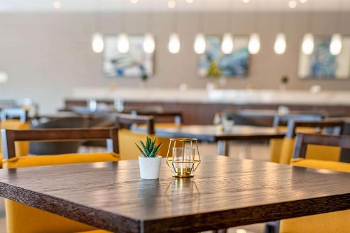 Cambria Hotel Minneapolis Airport - Bloomington - image 33