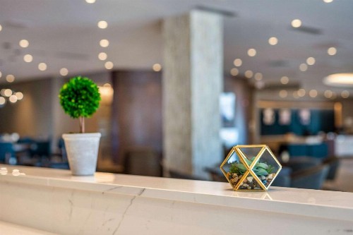 Cambria Hotel Minneapolis Airport - Bloomington - image 35