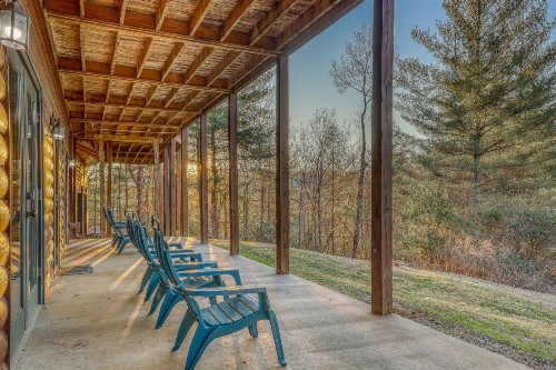 Paradise Lodge - image 2