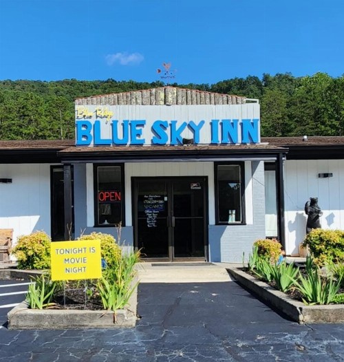 Blue Ridge Rustic Inn - image 11