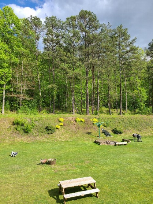 Blue Ridge Rustic Inn - image 15