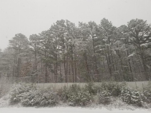 Blue Ridge Rustic Inn - image 36